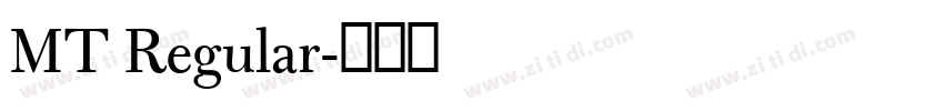 MT Regular字体转换